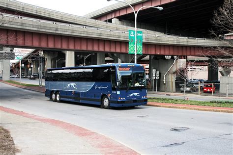 greyhound bus albany ny to nyc